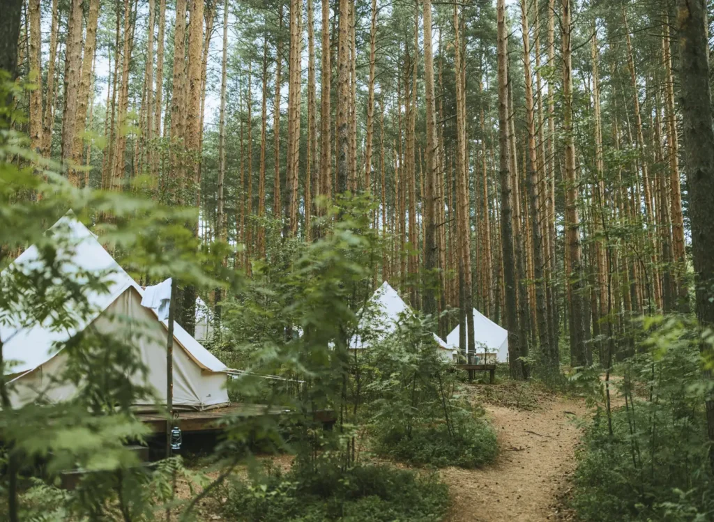 camping xtreme.webp